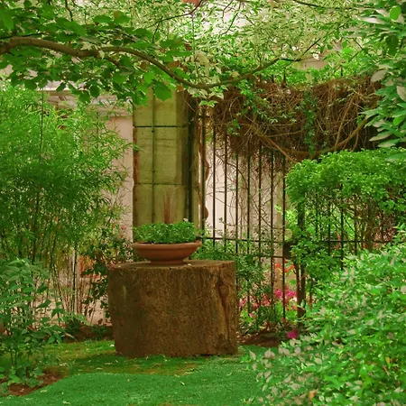 Abaca Messidor By Happyculture Paris