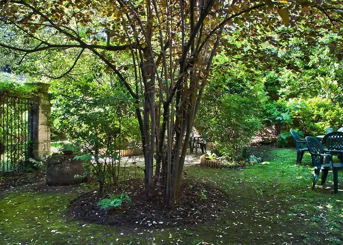 Abaca Messidor By Happyculture